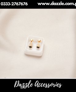 Small Stainless Branded Stud Earrings